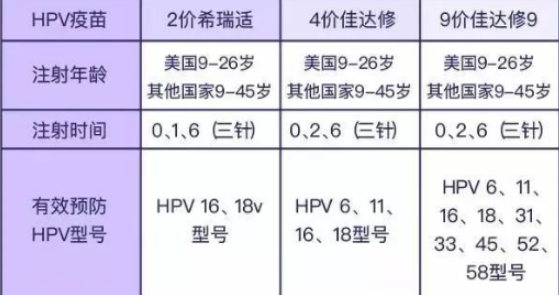 2价/4价/9价有什么区别吗，怎么选？