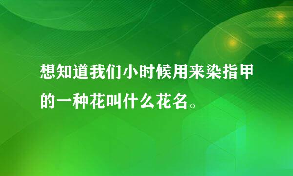 想知道我们小时候用来染指甲的一种花叫什么花名。