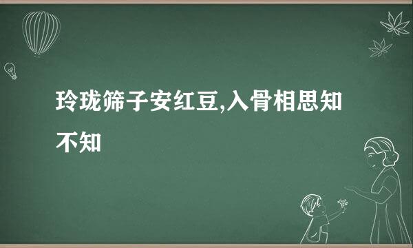 玲珑筛子安红豆,入骨相思知不知