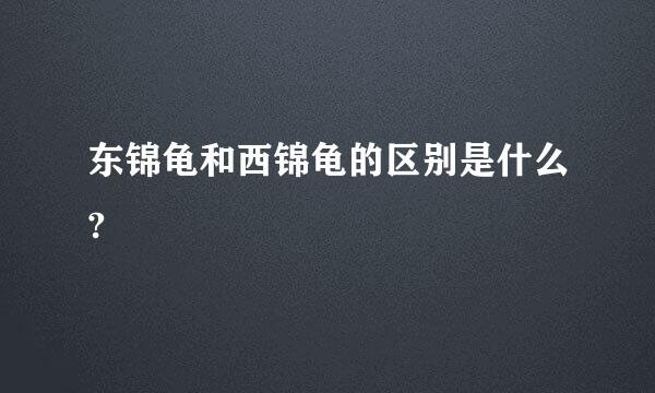 东锦龟和西锦龟的区别是什么?