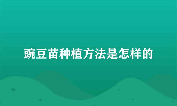 豌豆苗种植方法是怎样的