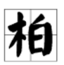 柏字怎么读