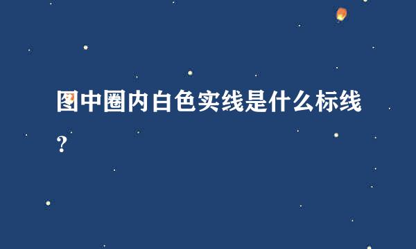 图中圈内白色实线是什么标线？