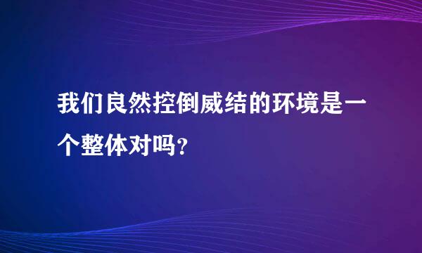 我们良然控倒威结的环境是一个整体对吗？