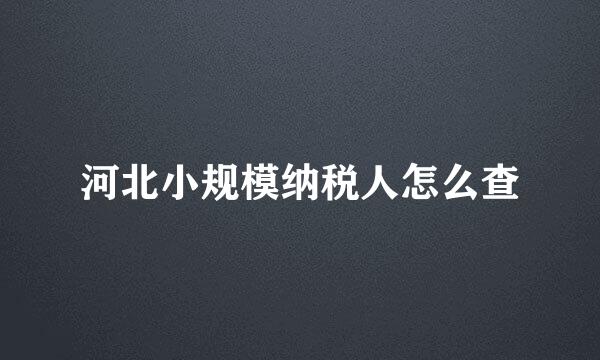 河北小规模纳税人怎么查