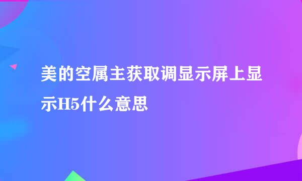 美的空属主获取调显示屏上显示H5什么意思