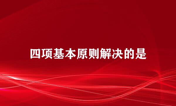 四项基本原则解决的是