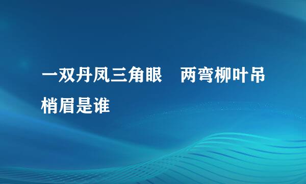 一双丹凤三角眼 两弯柳叶吊梢眉是谁