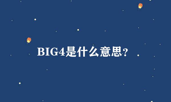 BIG4是什么意思？