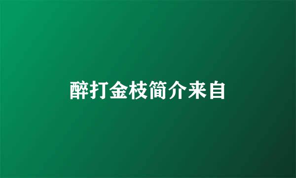 醉打金枝简介来自