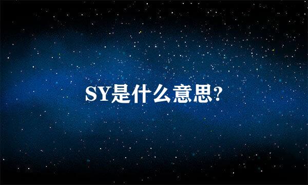 SY是什么意思?