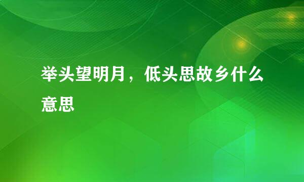 举头望明月，低头思故乡什么意思