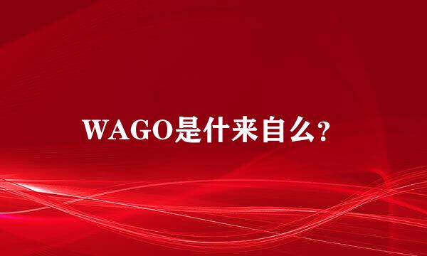 WAGO是什来自么？