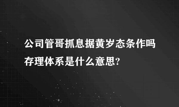 公司管哥抓息据黄岁态条作吗存理体系是什么意思?