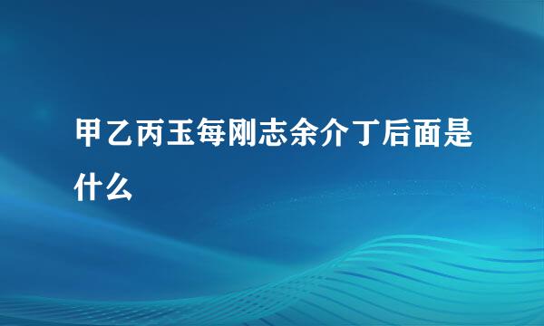 甲乙丙玉每刚志余介丁后面是什么