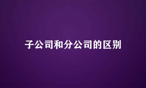 子公司和分公司的区别