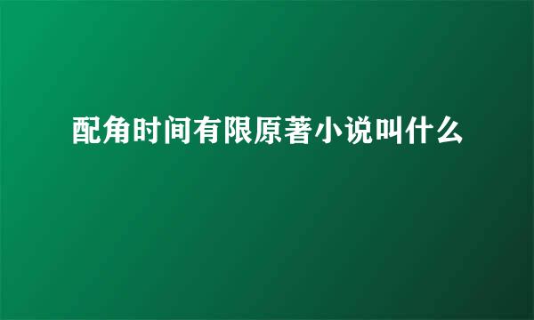 配角时间有限原著小说叫什么