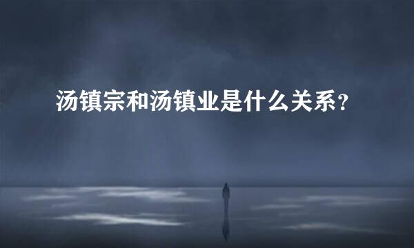 汤镇宗和汤镇业是什么关系？