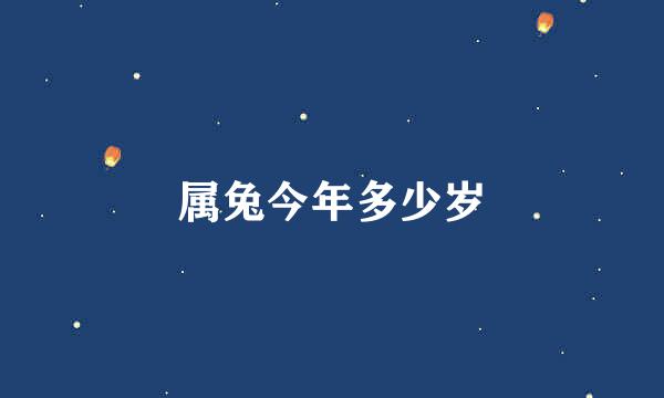 属兔今年多少岁