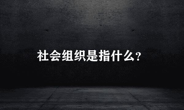 社会组织是指什么？