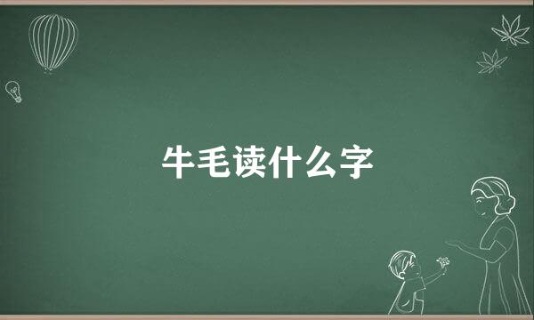 牛毛读什么字