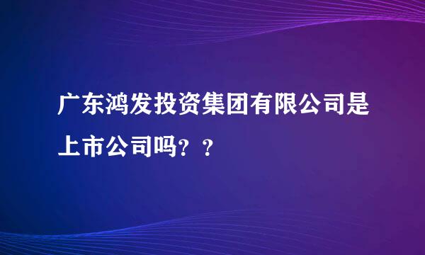 广东鸿发投资集团有限公司是上市公司吗？？