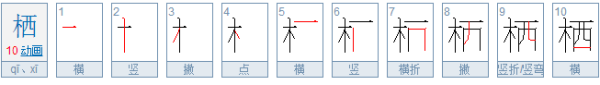 栖字的意思是新著使适什么