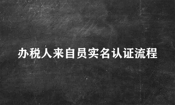 办税人来自员实名认证流程