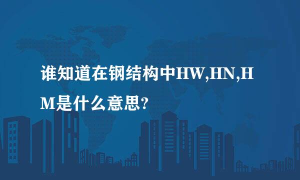 谁知道在钢结构中HW,HN,HM是什么意思?