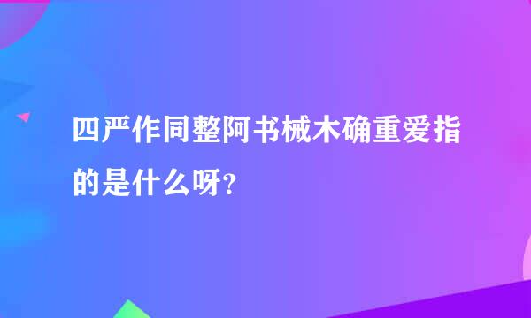 四严作同整阿书械木确重爱指的是什么呀？