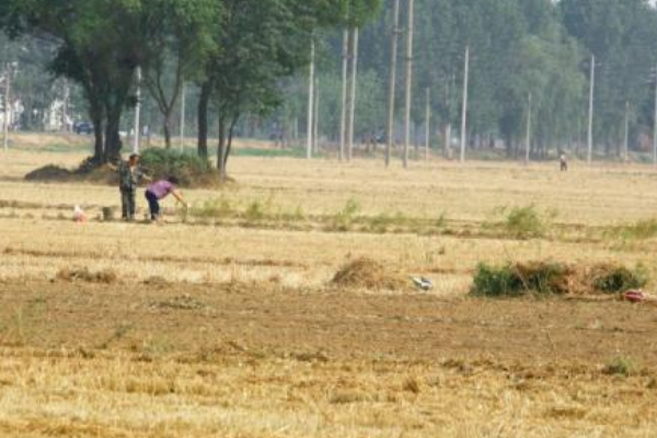 力尽不知热 但惜夏日长什么意思