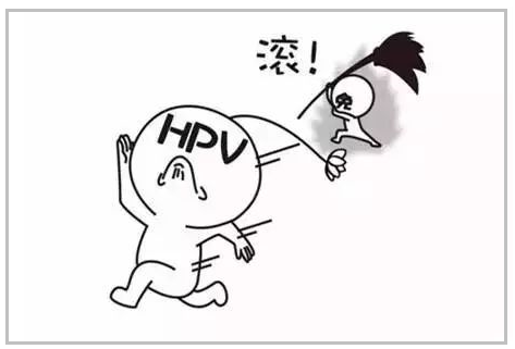 HPV52型是阳性是什么意思