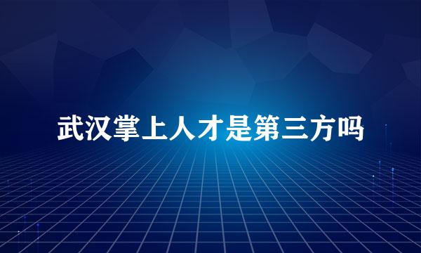 武汉掌上人才是第三方吗