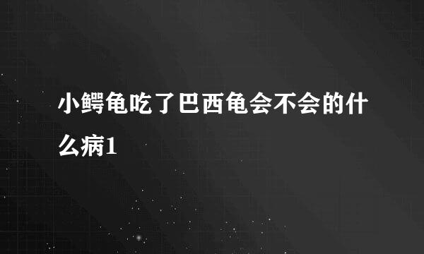 小鳄龟吃了巴西龟会不会的什么病1