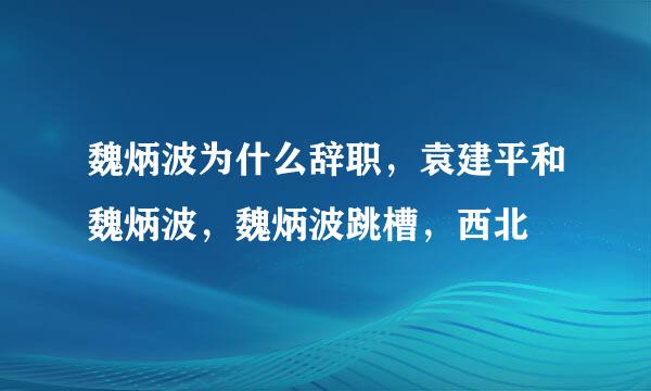 魏炳波为什么辞职，袁建平和魏炳波，魏炳波跳槽，西北