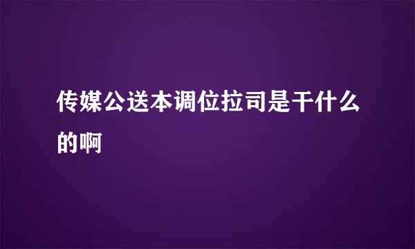 传媒公送本调位拉司是干什么的啊