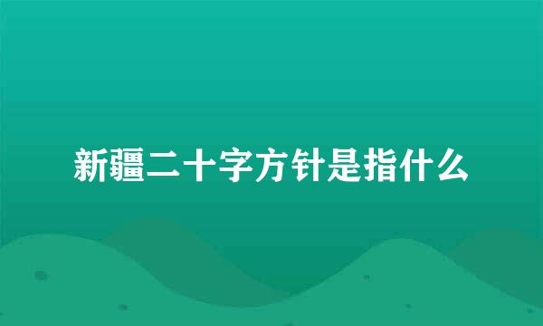 新疆二十字方针是指什么