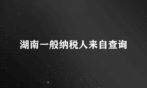 湖南一般纳税人来自查询