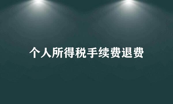 个人所得税手续费退费