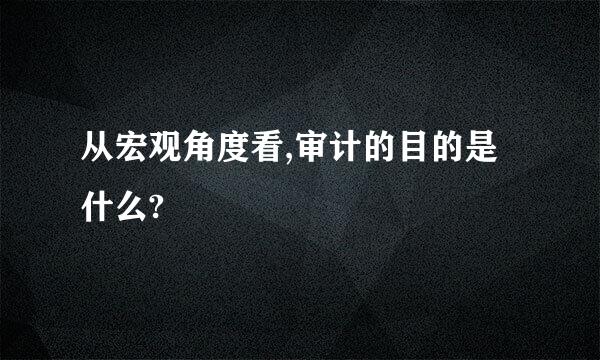 从宏观角度看,审计的目的是什么?