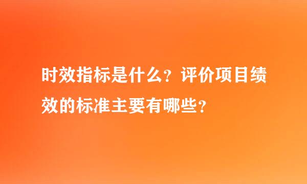 时效指标是什么？评价项目绩效的标准主要有哪些？