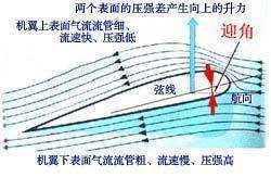 飞机的机翼原理是什么？