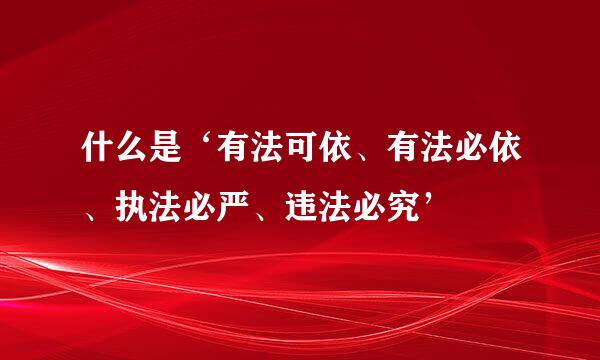 什么是‘有法可依、有法必依、执法必严、违法必究’