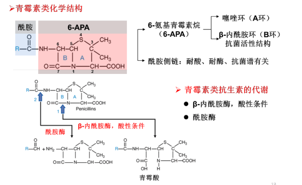 酰胺基是什么