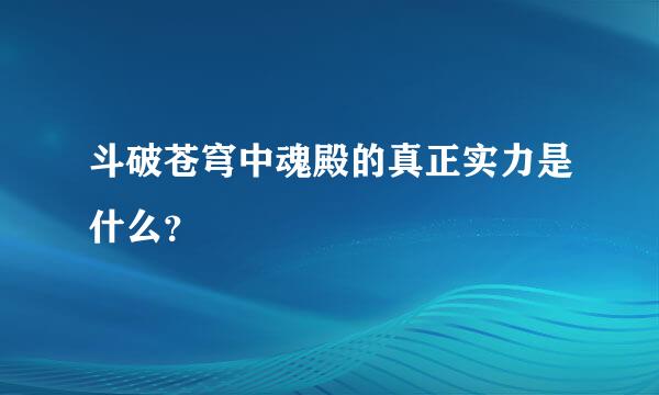 斗破苍穹中魂殿的真正实力是什么？