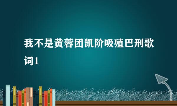 我不是黄蓉团凯阶吸殖巴刑歌词1