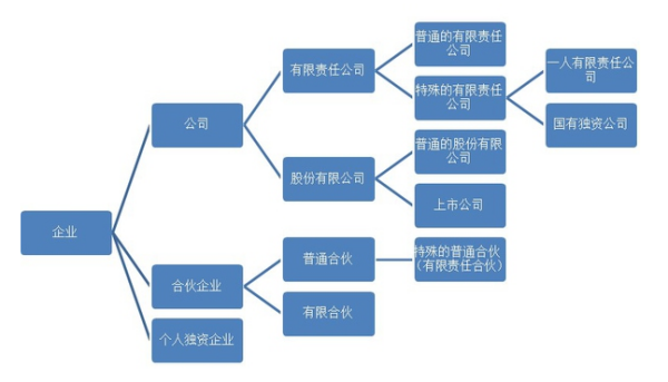 营业执照上的企业类型写的是 有限责任公司（自然人独资），这个公司的企业性质是什么啊