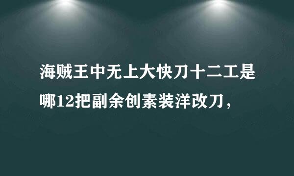 海贼王中无上大快刀十二工是哪12把副余创素装洋改刀，