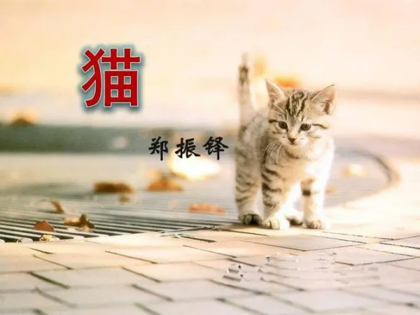 《猫》的写作背景是什么？