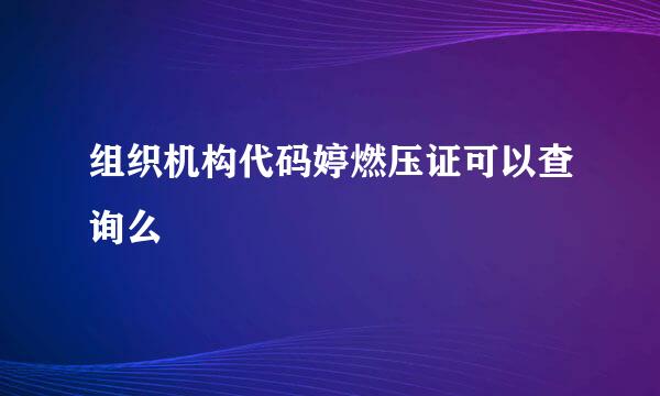 组织机构代码婷燃压证可以查询么